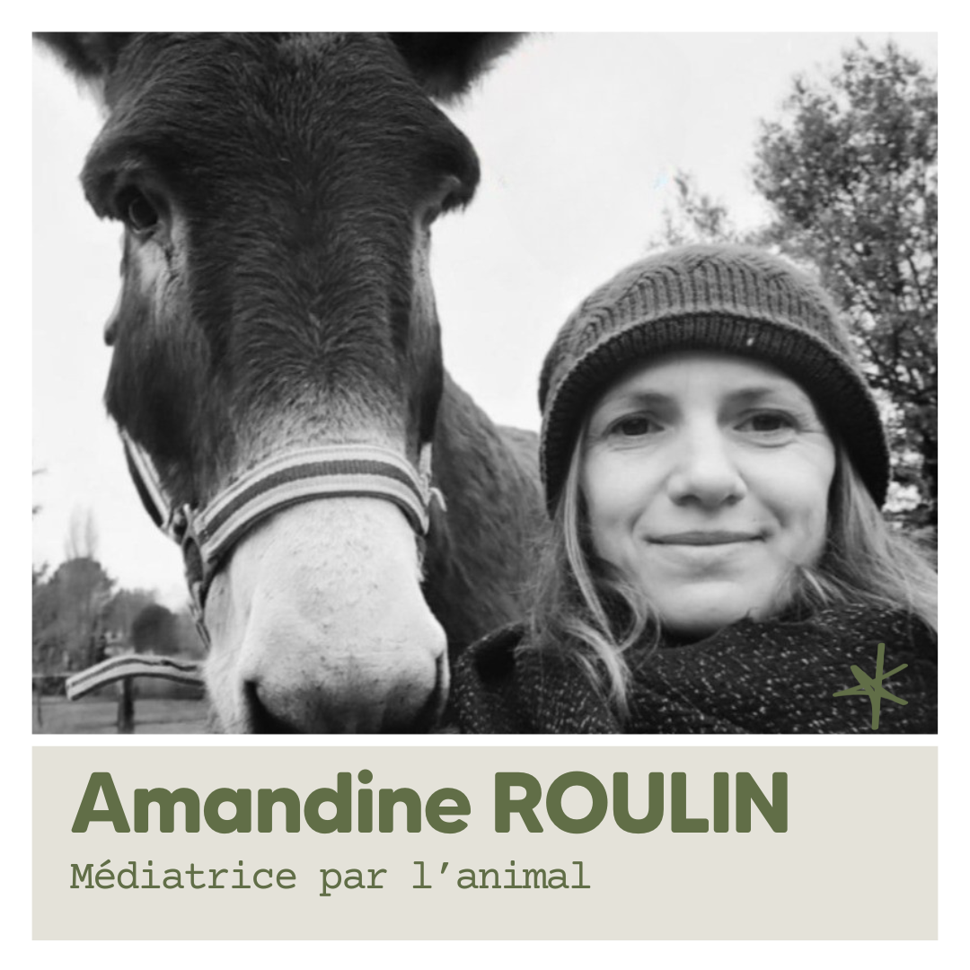 Visuels Intervenantes SITE (14)